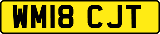 WM18CJT
