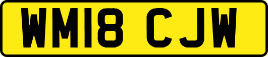 WM18CJW