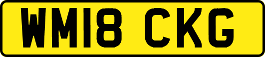 WM18CKG