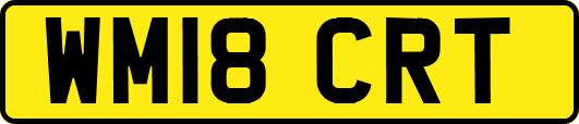 WM18CRT