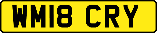 WM18CRY