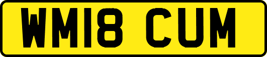 WM18CUM