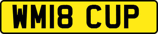 WM18CUP