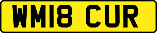 WM18CUR