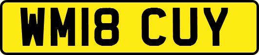 WM18CUY