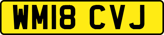 WM18CVJ