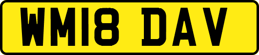 WM18DAV