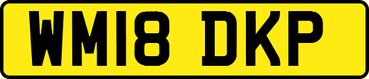 WM18DKP