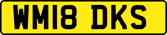 WM18DKS