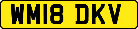 WM18DKV
