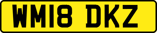 WM18DKZ