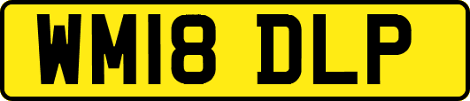 WM18DLP