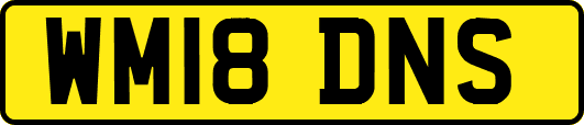 WM18DNS