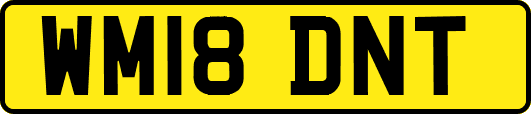 WM18DNT