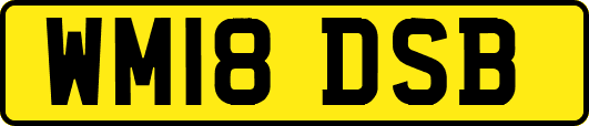 WM18DSB