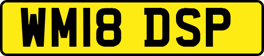 WM18DSP