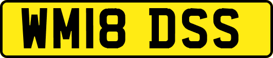 WM18DSS