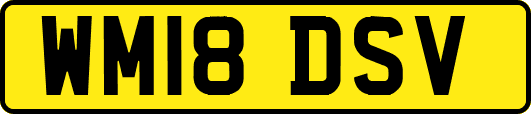 WM18DSV
