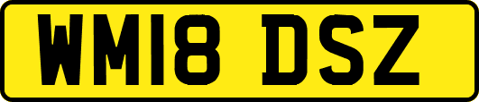 WM18DSZ