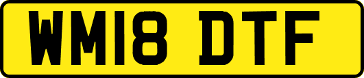 WM18DTF