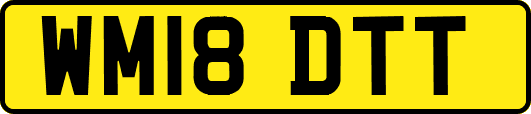 WM18DTT