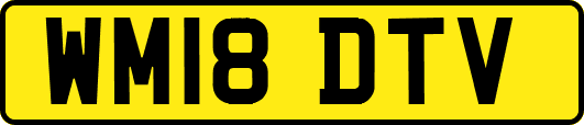 WM18DTV