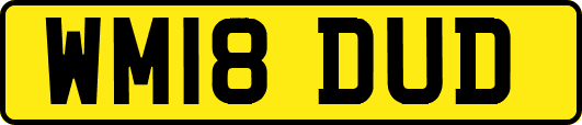 WM18DUD
