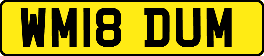 WM18DUM