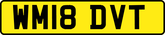 WM18DVT