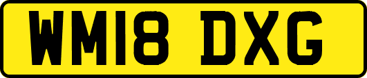 WM18DXG