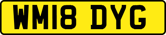 WM18DYG