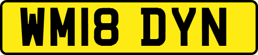 WM18DYN
