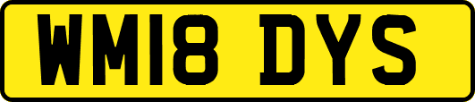WM18DYS