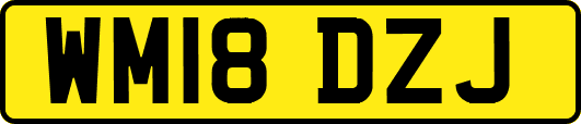 WM18DZJ