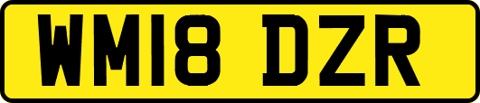 WM18DZR