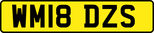 WM18DZS