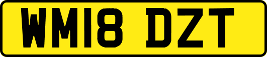 WM18DZT