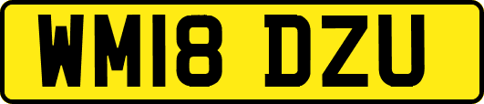WM18DZU