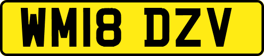 WM18DZV