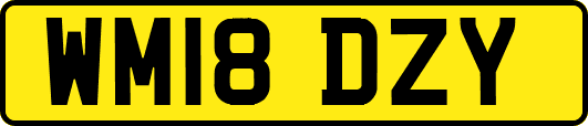 WM18DZY
