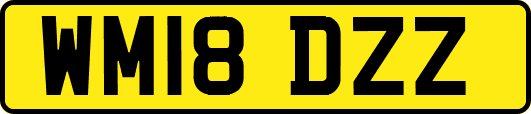 WM18DZZ