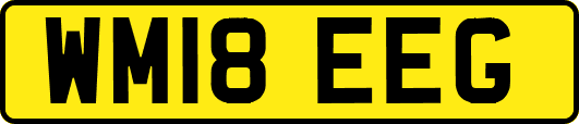 WM18EEG