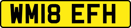 WM18EFH