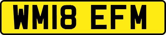 WM18EFM