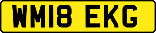 WM18EKG