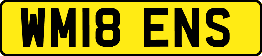 WM18ENS