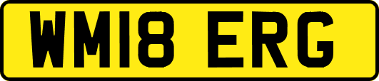 WM18ERG