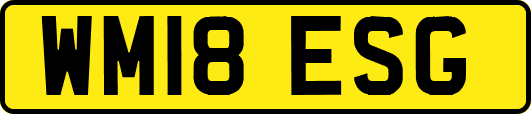 WM18ESG