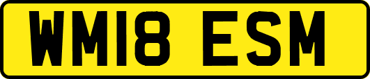 WM18ESM