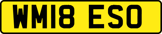 WM18ESO